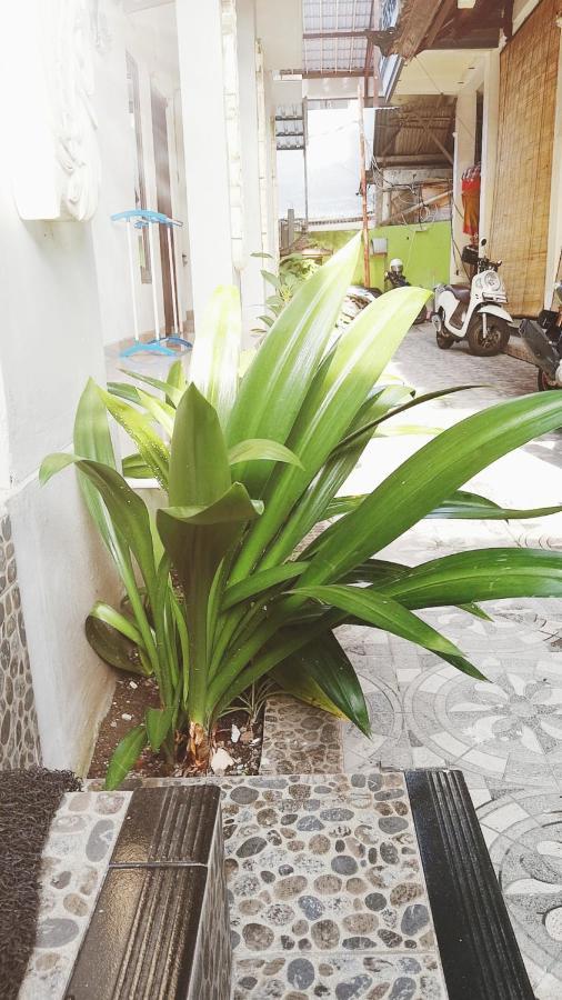 Bali Dd Homestay Seminyak Kültér fotó